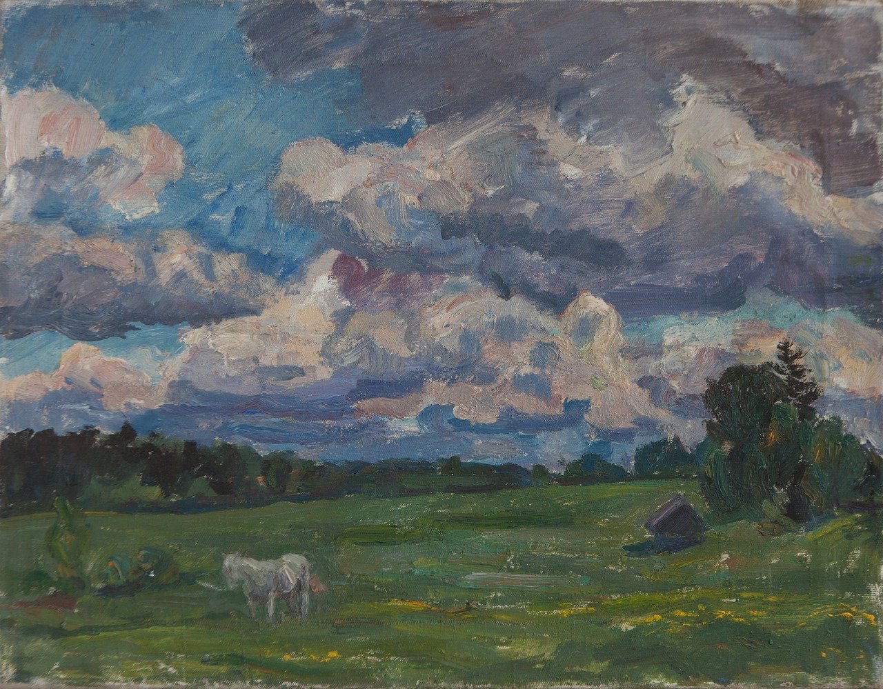 Б/Н. Холст, масло. 48х62