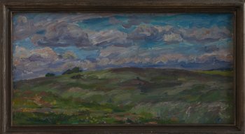 Б/Н. 1984г. Фанера, масло. 38х74