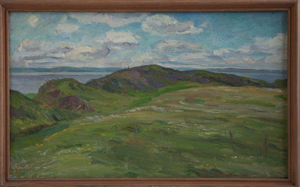 Плещеево озеро.Языческое городище (Переславль-Залесский). 1983г. Холст, масло. 57х94