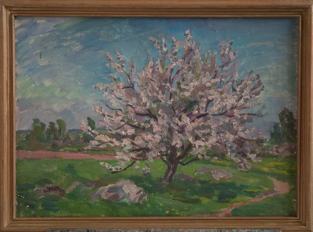 Яблоня цветёт. 1986г. Холст, масло. 50х70