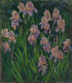 Б/Н.(Ирисы). Холст, масло. 72х65