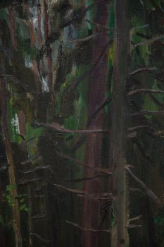 Ракурс 2