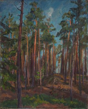 В сосновом бору. 1960г. Холст, масло. 80х65