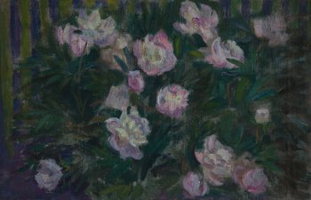 Пионы утром (Михайловское). Холст, масло. 50х80