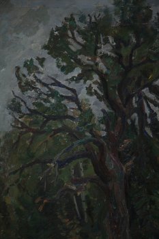 Ракурс 2