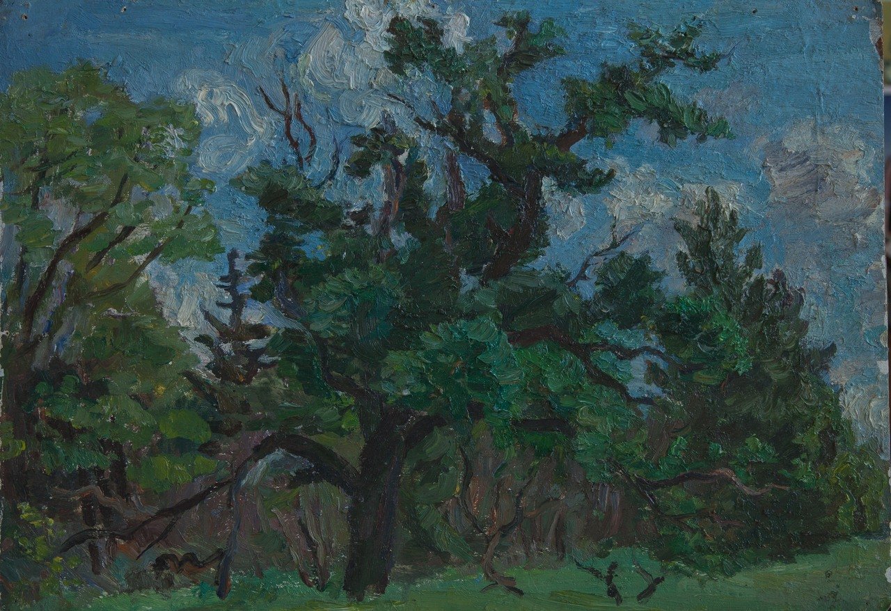 Май. 1952г. Картон, масло. 50х70