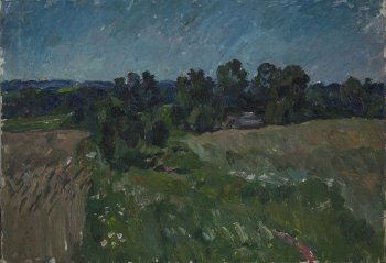 Б/Н. Оргалит, масло. 43х61,5